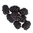 blackberries